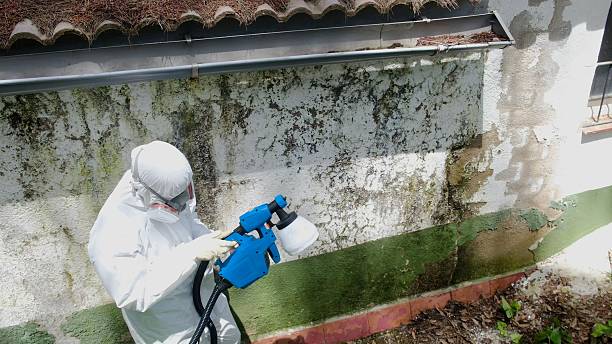 Trusted Mold Testing service in Shrewsbury, PA - Cheap Mold Removal